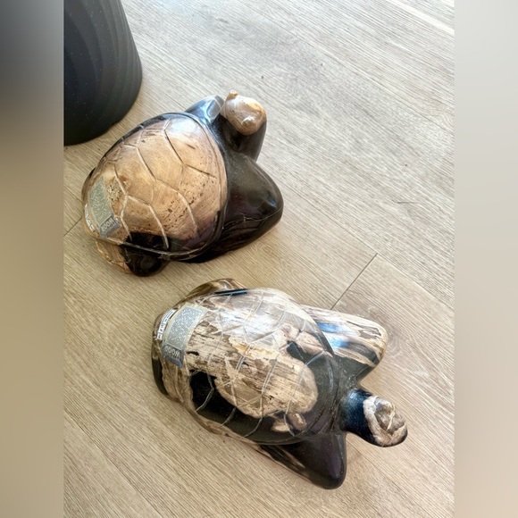 Petrified Wood Turtle - Picture 8 of 10